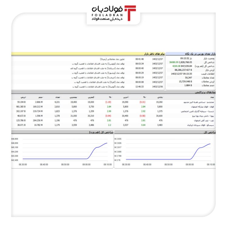 شرکت بلو اسکوپ استرالیا بعد ۳ سال به بالاترین سطح سود دهی رسید